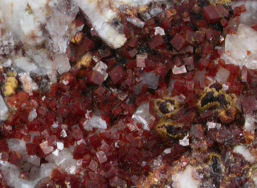 Bariopharmacosiderite from Grube Clara, Rankachtal, Oberwolfach, Schwarzwald, Baden-Württemberg, Germany (Type Locality for Bariopharmacosiderite)