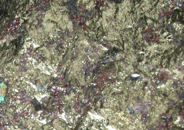 Talnakhite in Chalcopyrite-Cubanite from Talnakh Cu-Ni Deposit, Noril'sk, Taimyr Peninsula, Taymyrskiy Autonomous Okrug, Russia (Type Locality for Talnakhite)