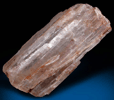 Hambergite from Anjanabonoina, Betafo District, Vakinankaratra, Madagascar