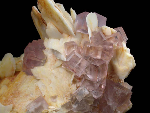 Barite with Fluorite from Berbes Mine, Caravia-Berbes District, Asturias, Spain