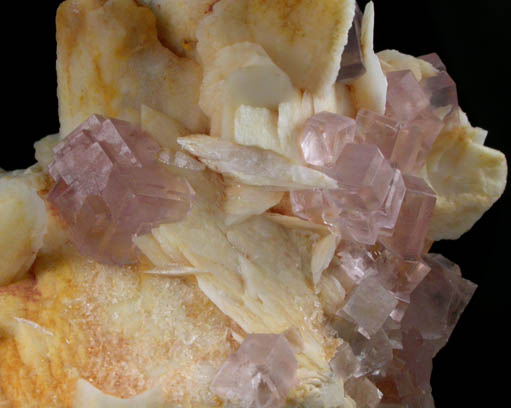 Barite with Fluorite from Berbes Mine, Caravia-Berbes District, Asturias, Spain