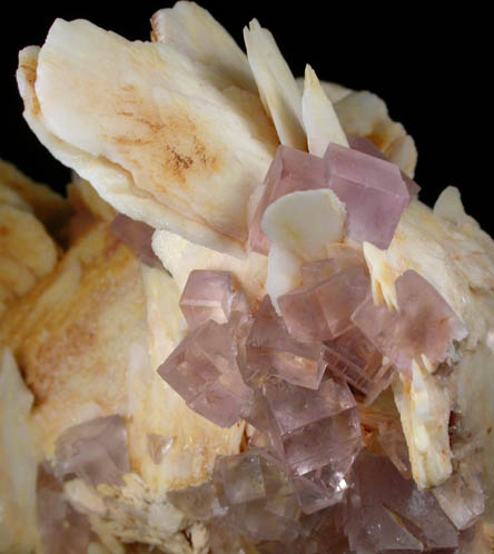 Barite with Fluorite from Berbes Mine, Caravia-Berbes District, Asturias, Spain