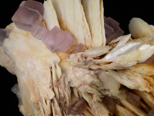 Barite with Fluorite from Berbes Mine, Caravia-Berbes District, Asturias, Spain