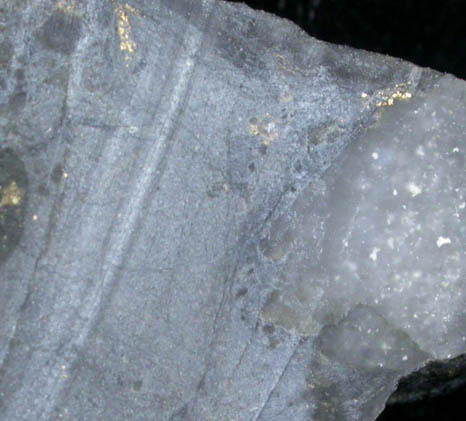 Gold in Quartz from Driefontein Mine, Carletonville, Gauteng Province, South Africa