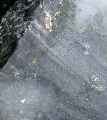 Gold in Quartz from Driefontein Mine, Carletonville, Gauteng Province, South Africa