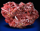 Crocoite from Dundas, Tasmania, Australia