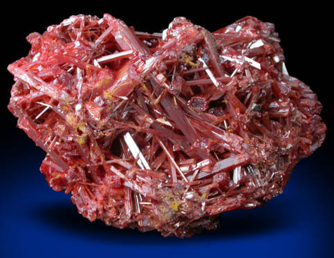 Crocoite from Dundas, Tasmania, Australia