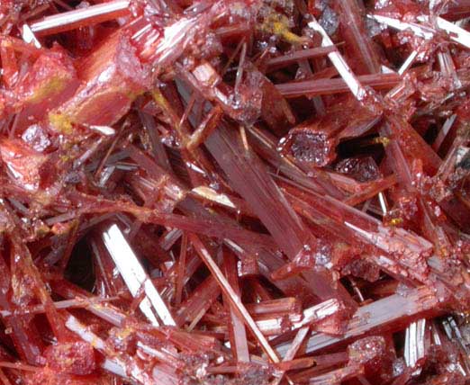 Crocoite from Dundas, Tasmania, Australia