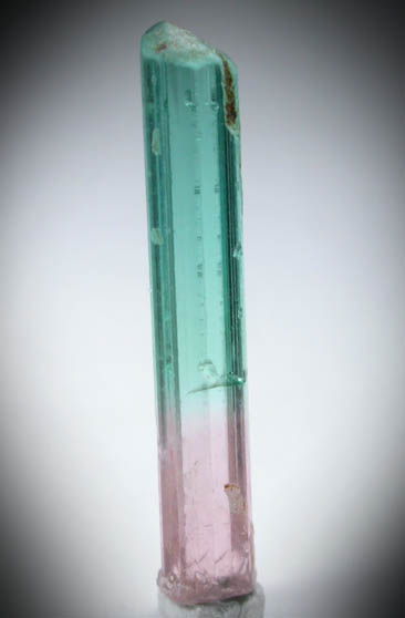 Elbaite Tourmaline from Mawi Pegmatite, Nuristan Province, Afghanistan