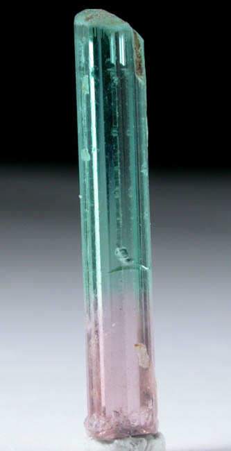 Elbaite Tourmaline from Mawi Pegmatite, Nuristan Province, Afghanistan