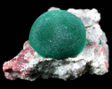 Malachite from Morenci Mine, Clifton District, Greenlee County, Arizona