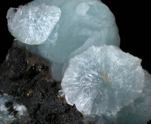 Hemimorphite from 79 Mine, Banner District, near Hayden, Gila County, Arizona