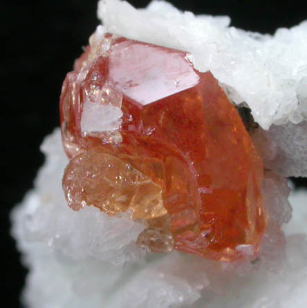 Spessartine Garnet in Albite from Little Three Mine, Ramona District, San Diego County, California