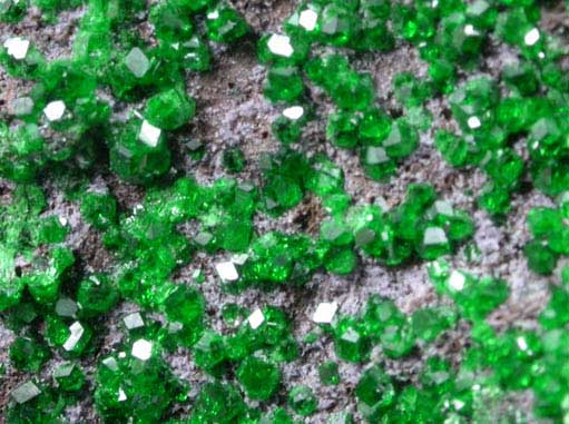 Uvarovite Garnet from Saranovskoye Mine, Sarany, Permskaya Oblast', Ural Mountains, Russia (Type Locality for Uvarovite)