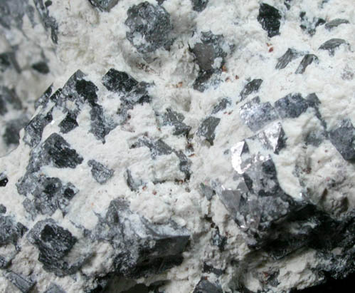 Magnetite (rare cubic crystal form) in Talc from ZCA Mine No. 4, Fowler Ore Body, 2500' Level, Balmat, St. Lawrence County, New York