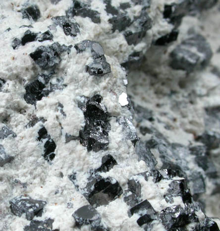 Magnetite (rare cubic crystal form) in Talc from ZCA Mine No. 4, Fowler Ore Body, 2500' Level, Balmat, St. Lawrence County, New York