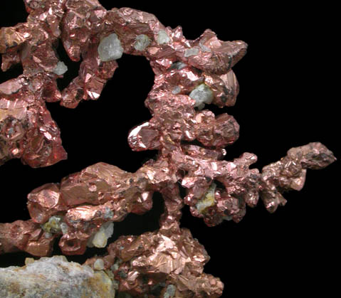 Copper (crystallized) on Quartz from Itauz Mine, Karaganda Oblast', Kazakhstan