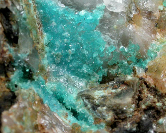 Turquoise Crystals on Quartz from Bishop Mine, Lynch Station, Campbell County, Virginia