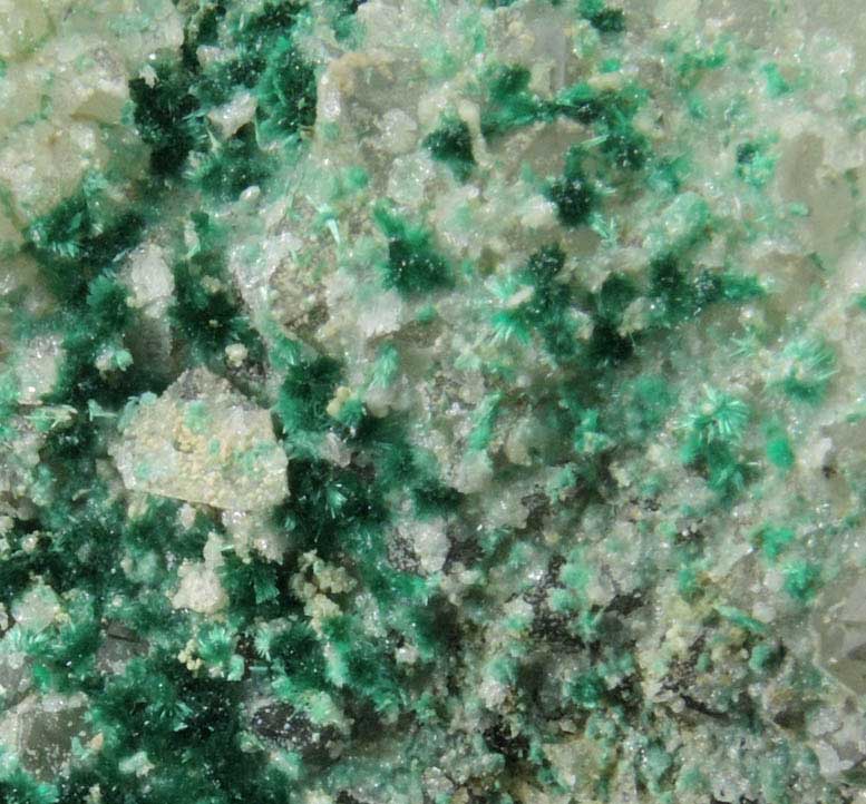 Brochantite on Quartz from Blanchard Mine, Hansonburg District, 8.5 km south of Bingham, Socorro County, New Mexico