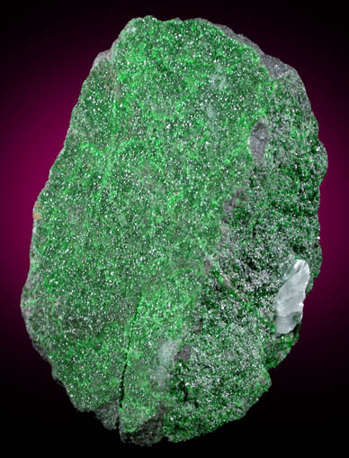 Uvarovite Garnet from Saranovskoye Mine, Sarany, Permskaya Oblast', Ural Mountains, Russia (Type Locality for Uvarovite)