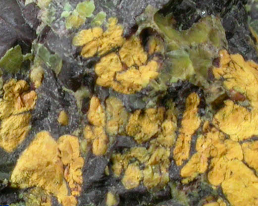 Uraninite with Uranophane, Gummite (Becquerelite-Fourmarierite) from Ruggles Mine, Grafton Center, Grafton County, New Hampshire