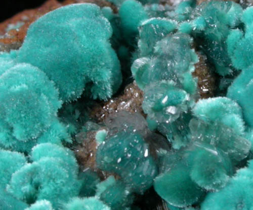 Rosasite with Hemimorphite from Mina Ojuela, Mapimi, Durango, Mexico