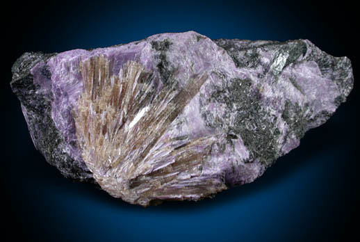 Charoite, Steacyite, Tinaksite, Aegirine from Murunskii Massif, between the Charo and Tokko Rivers, Aldan Shield, Yakutia, Russia (Type Locality for Charoite)