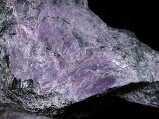 Charoite, Steacyite, Tinaksite, Aegirine from Murunskii Massif, between the Charo and Tokko Rivers, Aldan Shield, Yakutia, Russia (Type Locality for Charoite)