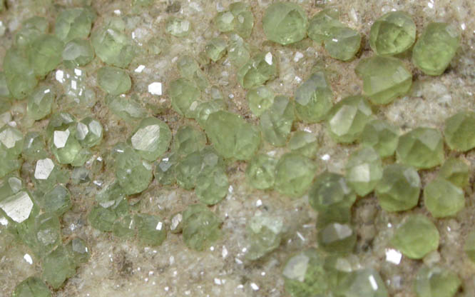 Andradite var. Demantoid Garnet from Concordia, Piedra Parada, near Las Vigas, Tatatila, Veracruz, Mexico