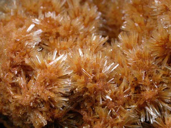 Gypsum var. Selenite from Pernatty Lagoon, Mount Gunson, South Australia, Australia