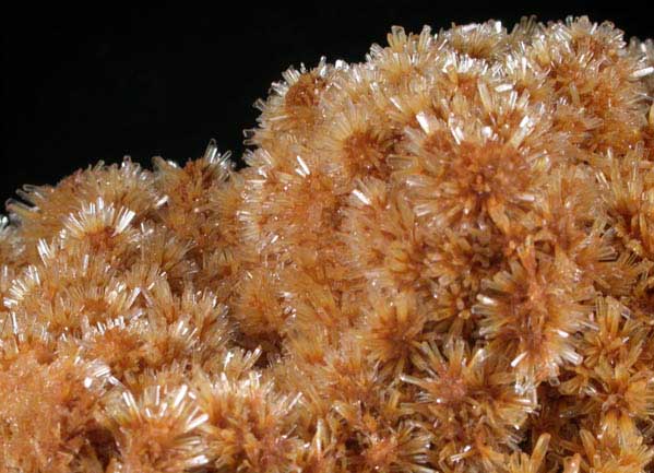 Gypsum var. Selenite from Pernatty Lagoon, Mount Gunson, South Australia, Australia