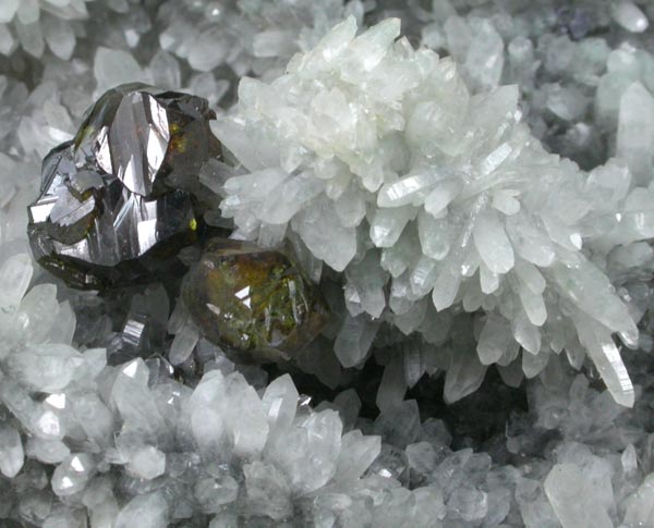 Sphalerite on Quartz from Deveti Septemvri Mine, Madan District, Rhodope Mountains, Bulgaria