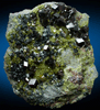 Grossular Garnet with Diopside and Clinochlore from Jeffrey Mine, Asbestos, Québec, Canada