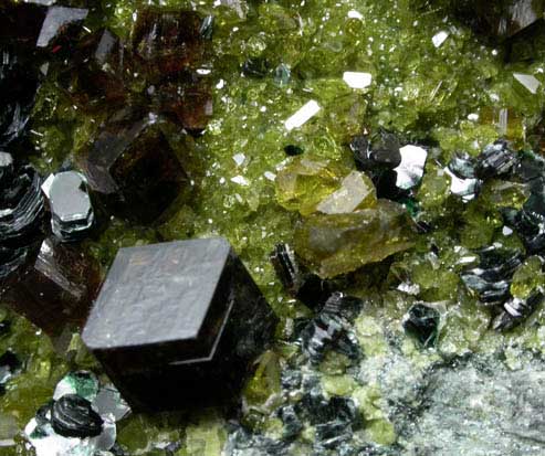 Grossular Garnet with Diopside and Clinochlore from Jeffrey Mine, Asbestos, Qubec, Canada