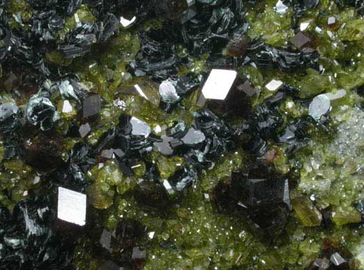 Grossular Garnet with Diopside and Clinochlore from Jeffrey Mine, Asbestos, Qubec, Canada