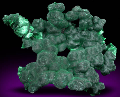 Malachite from Mashamba West Mine, 13 km west of Kolwezi, Katanga Copperbelt, Lualaba Province, Democratic Republic of the Congo