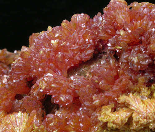 Orpiment from Mina Palomo, Castrovirreyna Province, Huancavelica Department, Peru