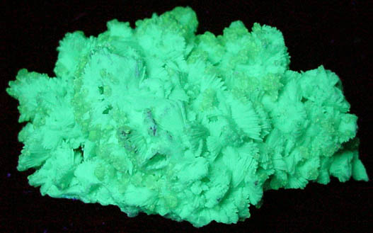 Fluorapatite pseudomorphs after Tarbuttite with Hemimorphite from Skorpion Mine, Rosh Pinah, Luderitz District, Namibia