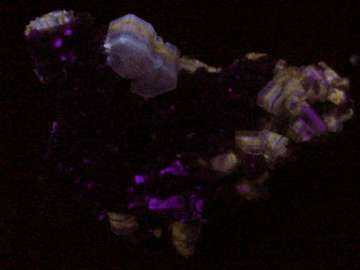 Fluorapatite, Siderite, Arsenopyrite from Panasqueira Mine, Barroca Grande, 21 km. west of Fundao, Castelo Branco, Portugal