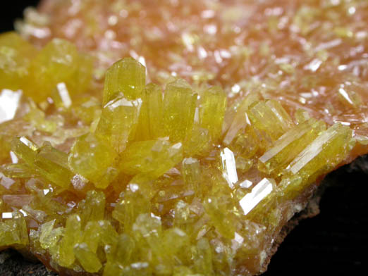 Pyromorphite from Bunker Hill Mine, Coeur d'Alene District, Shoshone County, Idaho