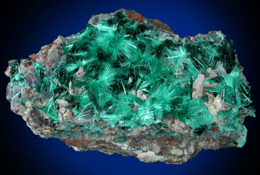 Brochantite from Kambove Mining District, 130 km NW of Lubumbashi, Katanga Copperbelt, Lualaba Province, Democratic Republic of the Congo