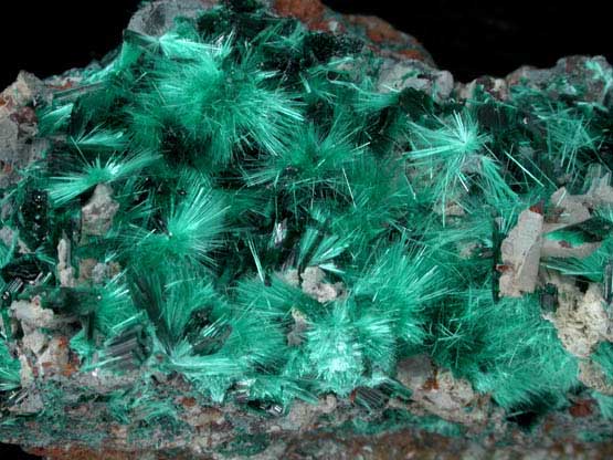 Brochantite from Kambove Mining District, 130 km NW of Lubumbashi, Katanga Copperbelt, Lualaba Province, Democratic Republic of the Congo