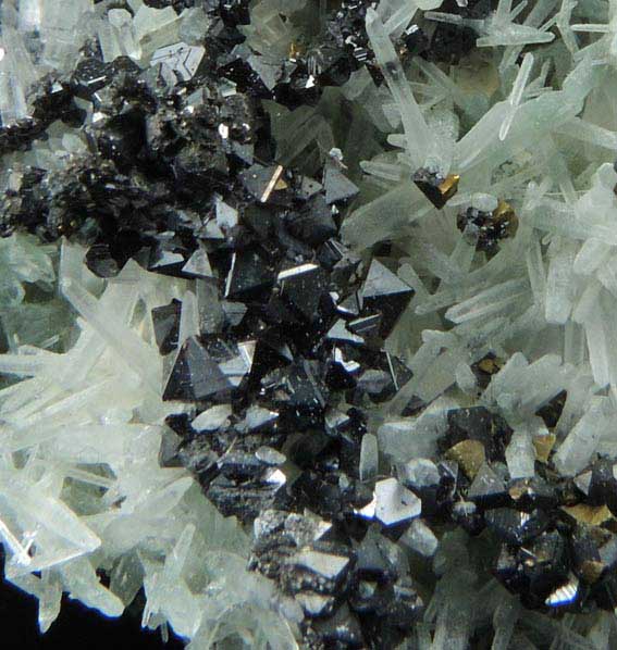 Galena (plate-like skeletal crystals) with Sphalerite and Chalcopyrite on Quartz from Deveti Septemvri Mine, Madan District, Rhodope Mountains, Bulgaria