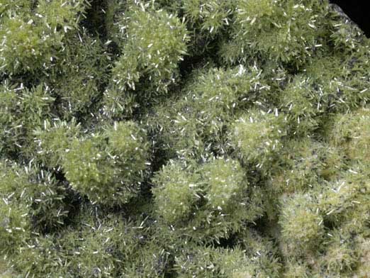 Pyromorphite on Coronadite from Blackwood Open Cut, Broken Hill, New South Wales, Australia