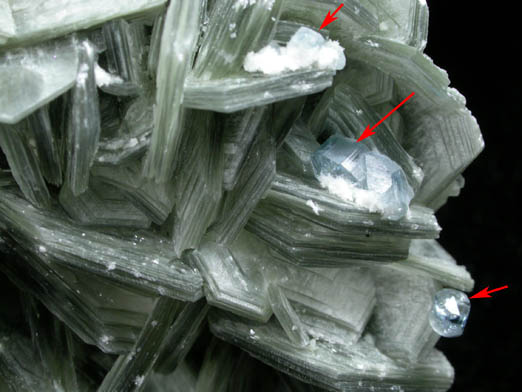 Muscovite over Albite with Fluorapatite from Jenipapo District, Itinga, Minas Gerais, Brazil