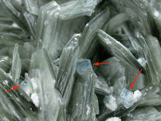 Muscovite over Albite with Fluorapatite from Jenipapo District, Itinga, Minas Gerais, Brazil