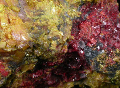 Getchellite in Orpiment from Getchell Mine, Humboldt County, Nevada (Type Locality for Getchellite)