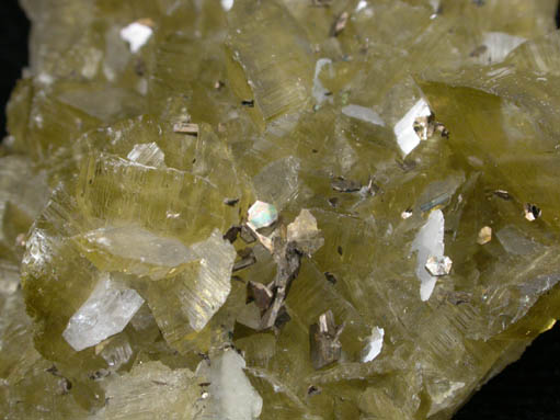 Siderite with Pyrrhotite and Albite from Morro Velho Mine, Nova Lima, Minas Gerais, Brazil