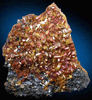 Mimetite on Cesarolite from Guatomo Mine, near Tham Thalu, south of Hat Yai, Yala Province, Thailand