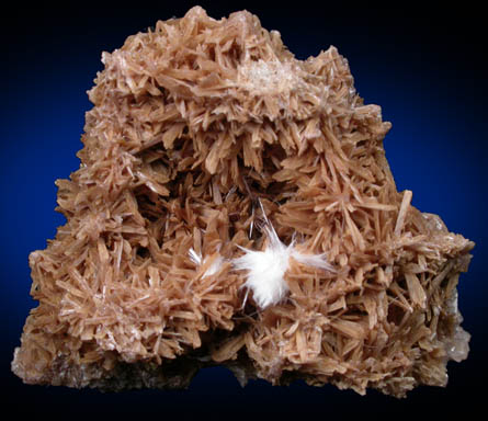 Inesite and Xonotlite from Wessels Mine, Kalahari Manganese Field, Northern Cape Province, South Africa
